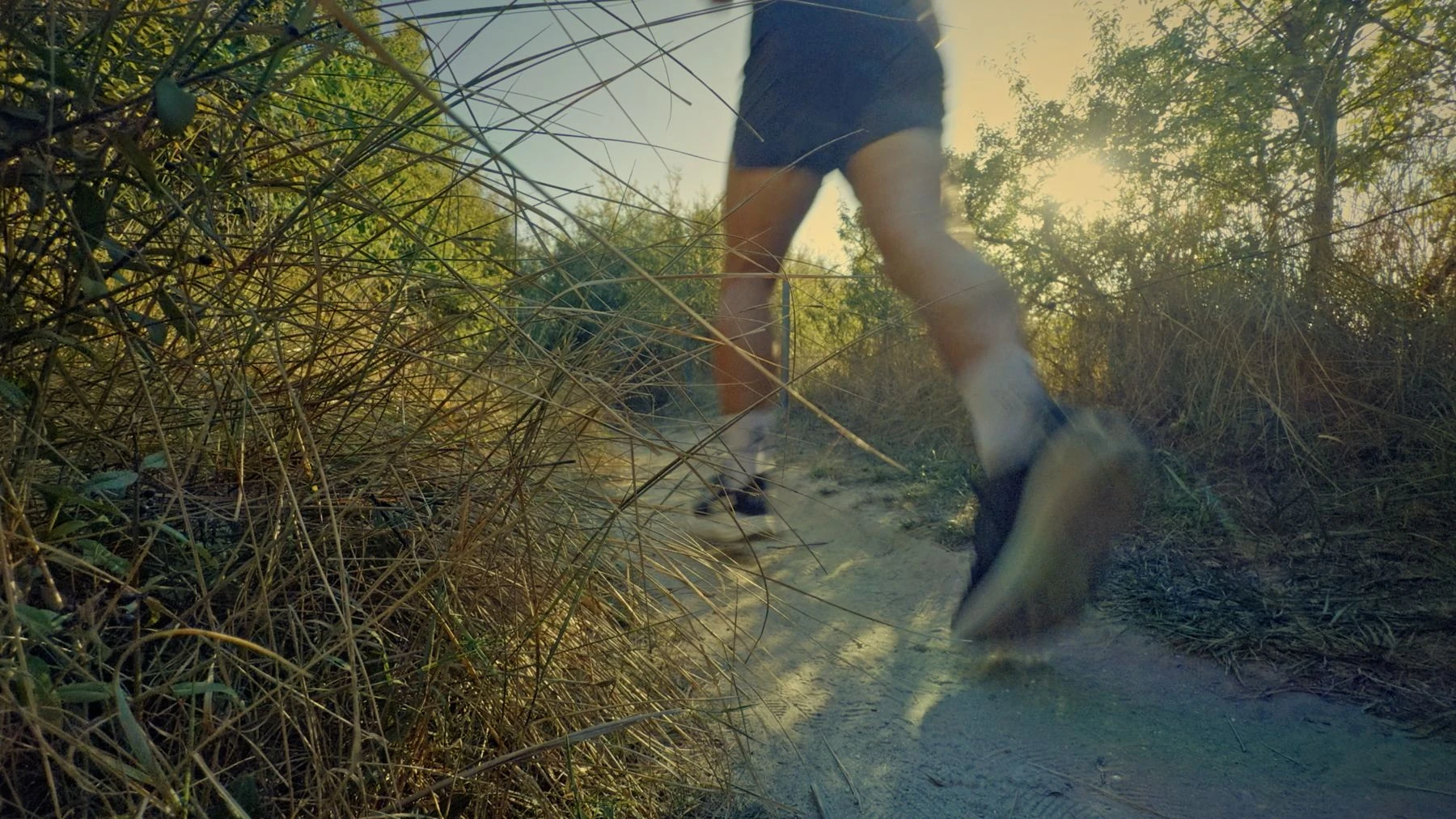 Gros plan sur les foulées d'un coureur sur un sentier sableux